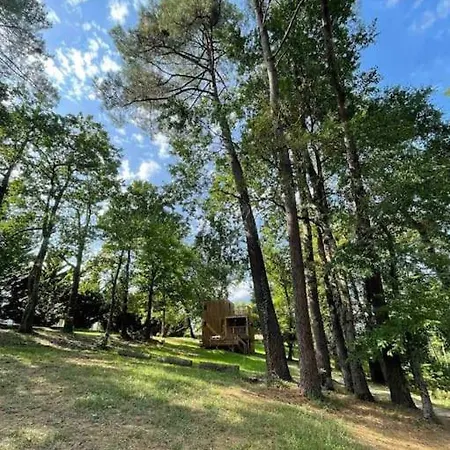 Semesterbostad Danaya X Tiny House En Foret *