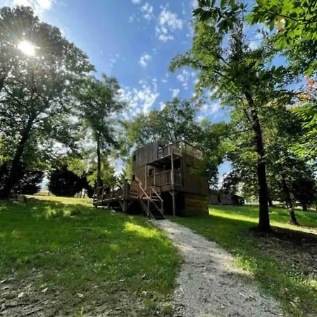 Danaya X Tiny House En Foret